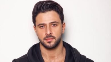 صورة توضيحية - النجم كريم نور يتصدر العناوين بأغنيته الجديدة