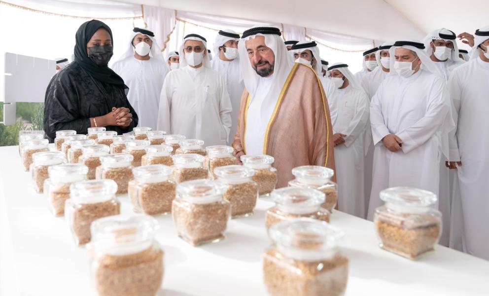صورة مميزة: الأول وطنياً.. دقيق سبع سنابل ينال علامة صنع بالإمارات