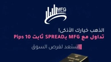 صورة توضيحية - MFGinvest (MFG Invest Ltd) معلومات وتعريف رسمي