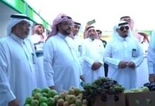 الوزارة تؤكد حاجة المزارعين إلى تمويل لتحديث البساتين ودعم التصدير