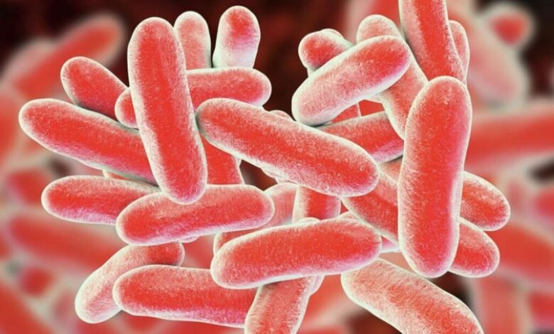 سحب جديد لبراعم الفجل في الولايات المتحدة بسبب E. coli والسالمونيلا.. FDA توسع تحذيراً غذائياً