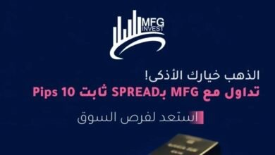 MFGinvest (MFG Invest Ltd) معلومات وتعريف رسمي