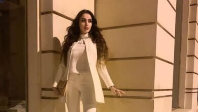 الفنانة سبيل تطرح Cover جديد عبر انغامي